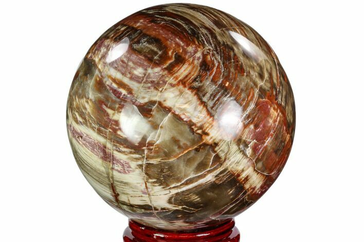 Colorful Petrified Wood Sphere - Madagascar #110590